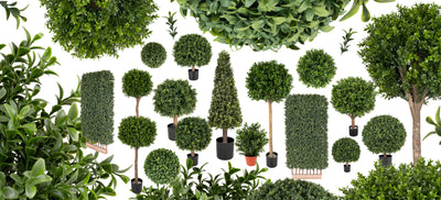 Buxus artificial