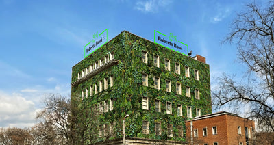 Gradini verticale cu plante naturale de exterior
