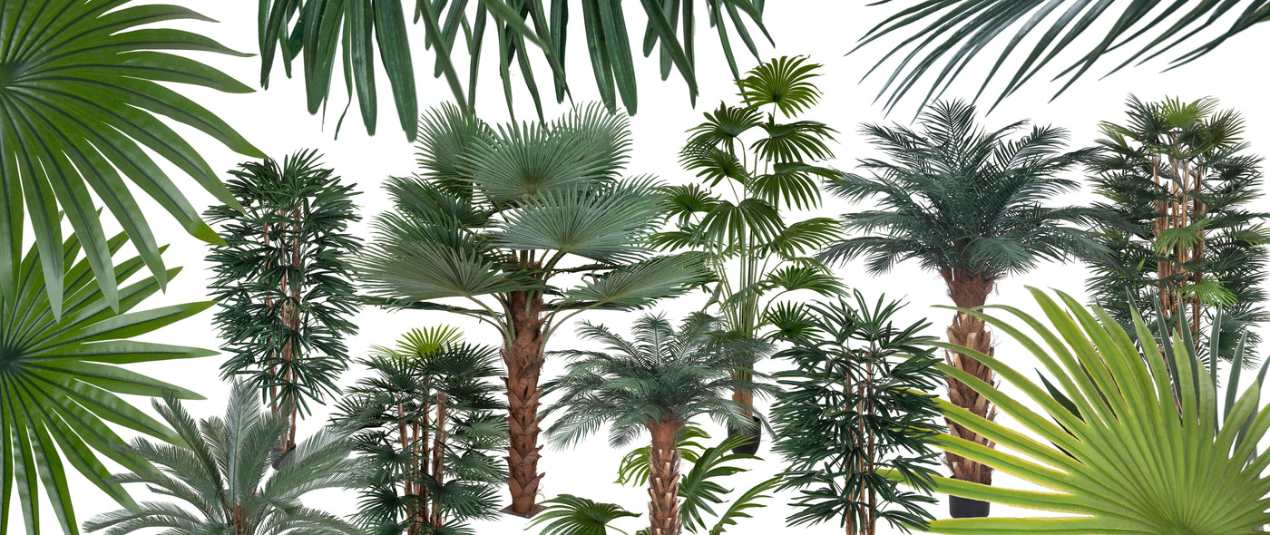 Palmieri artificiali de exterior