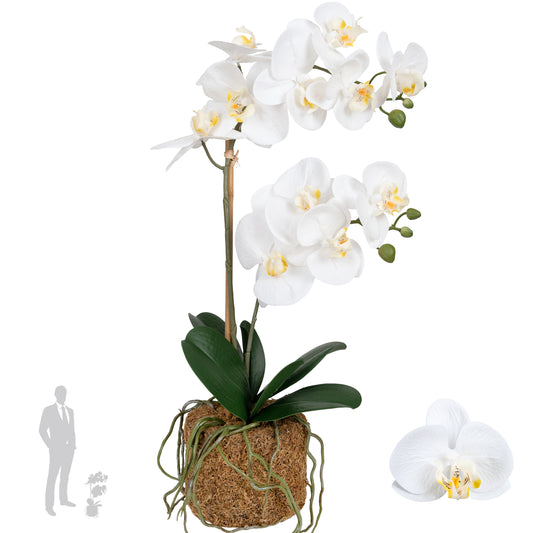 Orhidee artificiala alba cu aspect natural H56 cm cu 2 tulpini