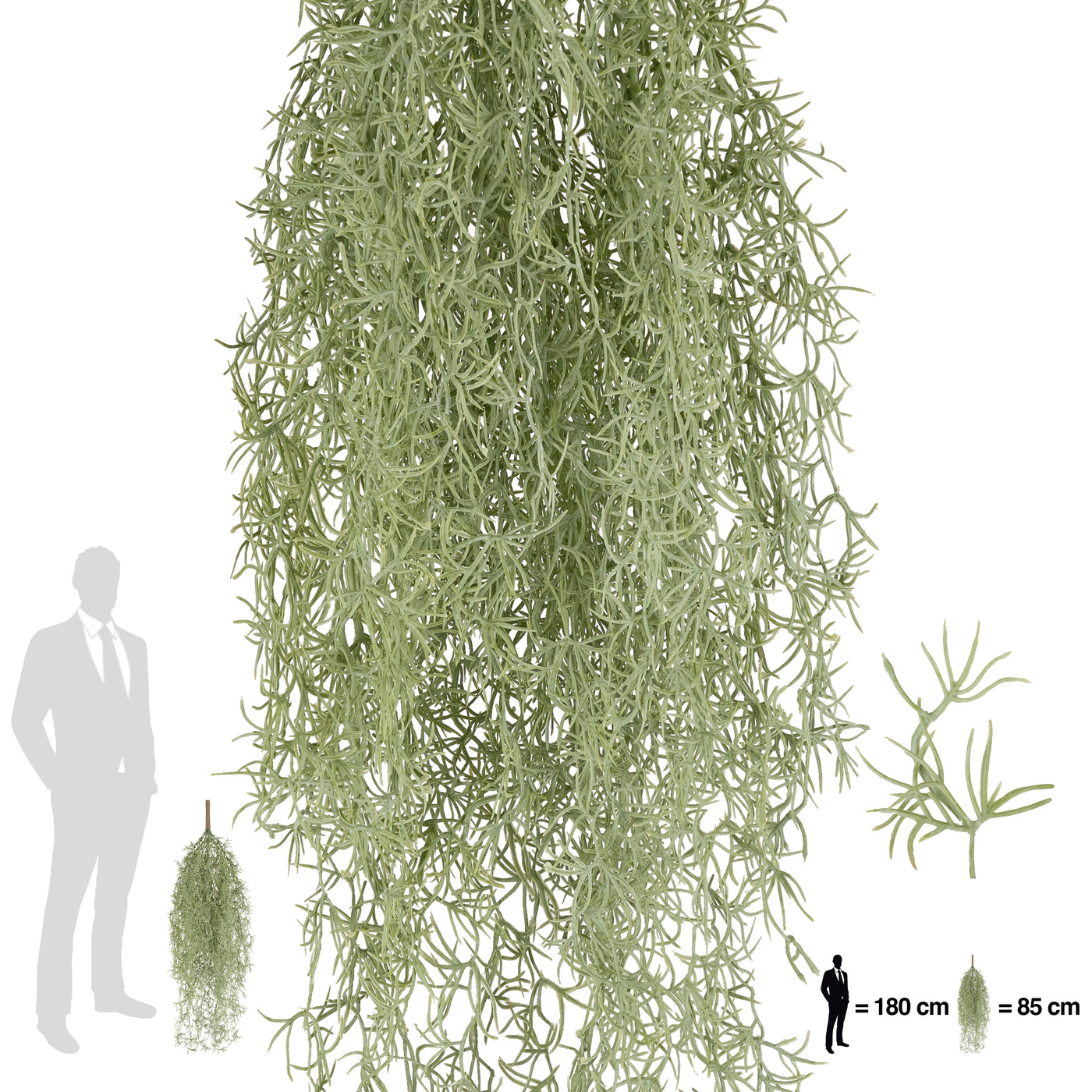 Planta curgatoare Long hair (tillandsia) 85 cm verde deschis