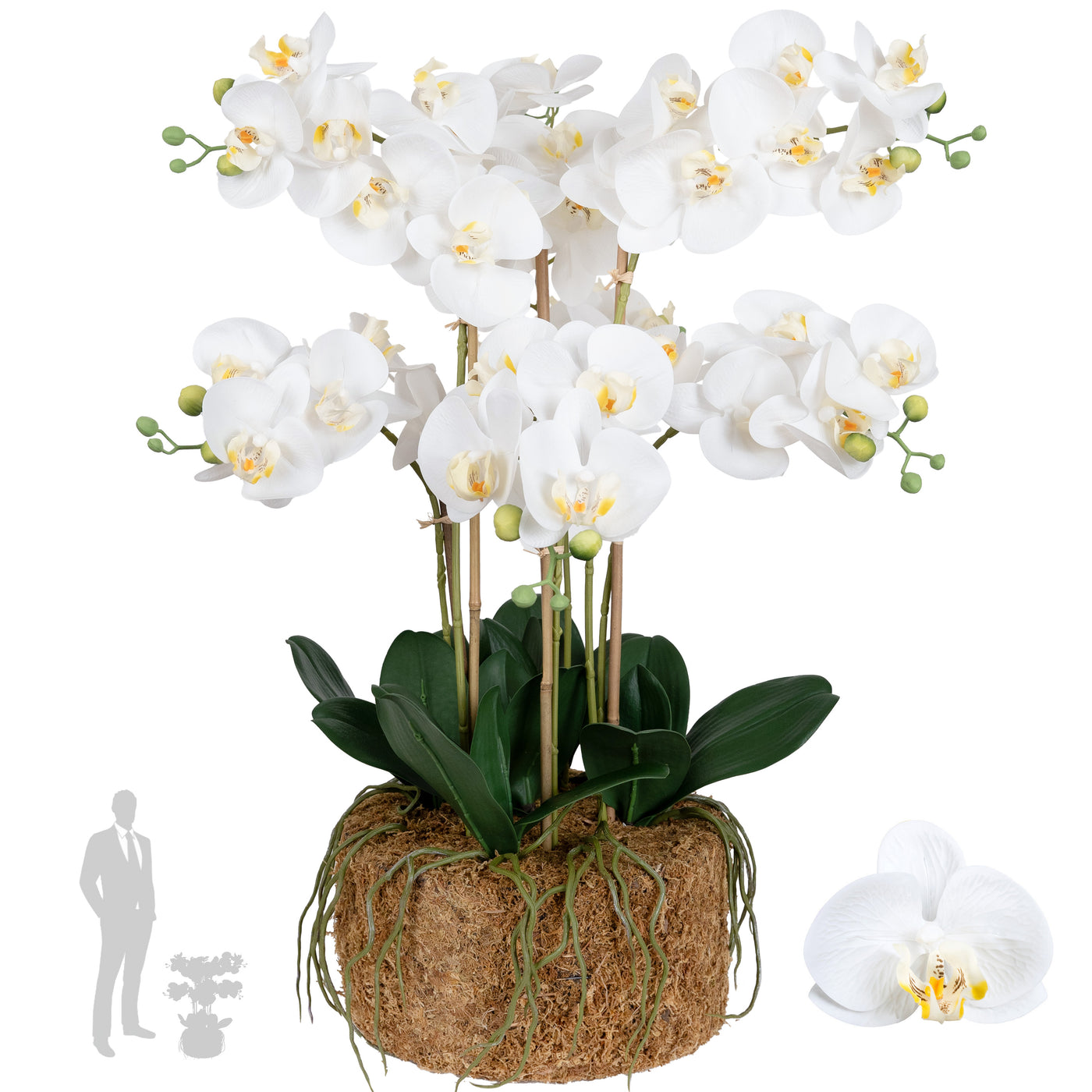 Orhidee artificiala alba cu aspect natural H66 cm cu 6 tulpini