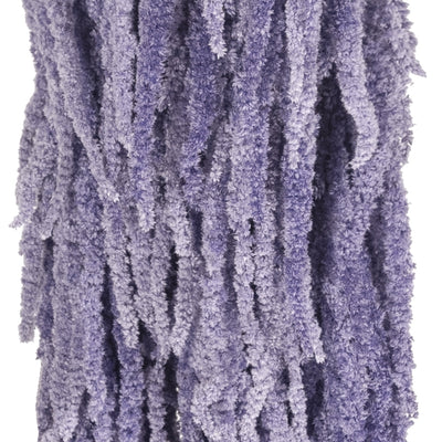 Crenguta conservata de Amaranthus H70-80 cm mov liliac