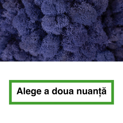 Licheni curatati si fara radacina in 2 culori 500g NET, calitate ULTRA PREMIUM, violet RR18 cu