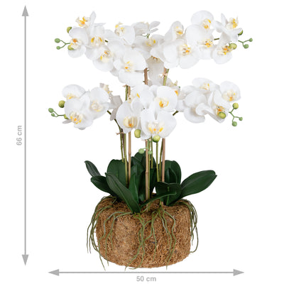 Orhidee artificiala alba cu aspect natural H66 cm cu 6 tulpini