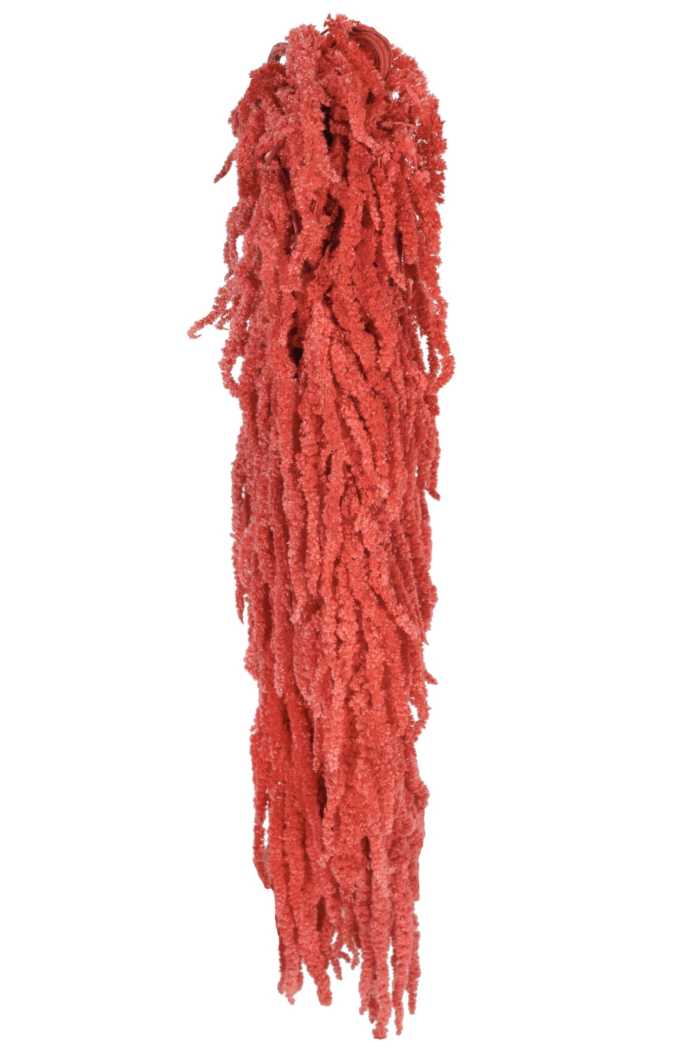 Crenguta conservata de Amaranthus H70-80 cm roz coral
