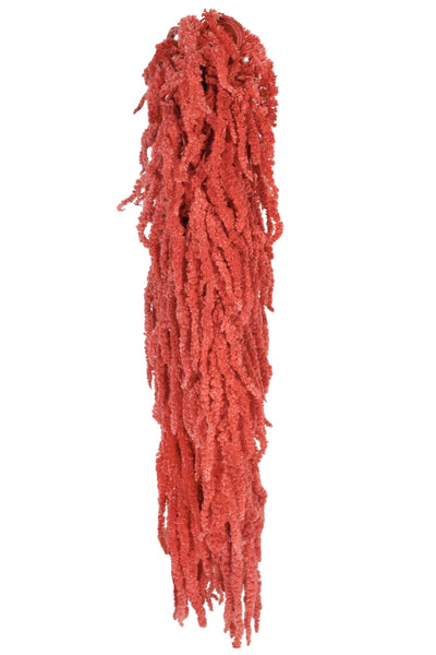 Crenguta conservata de Amaranthus H70-80 cm roz coral