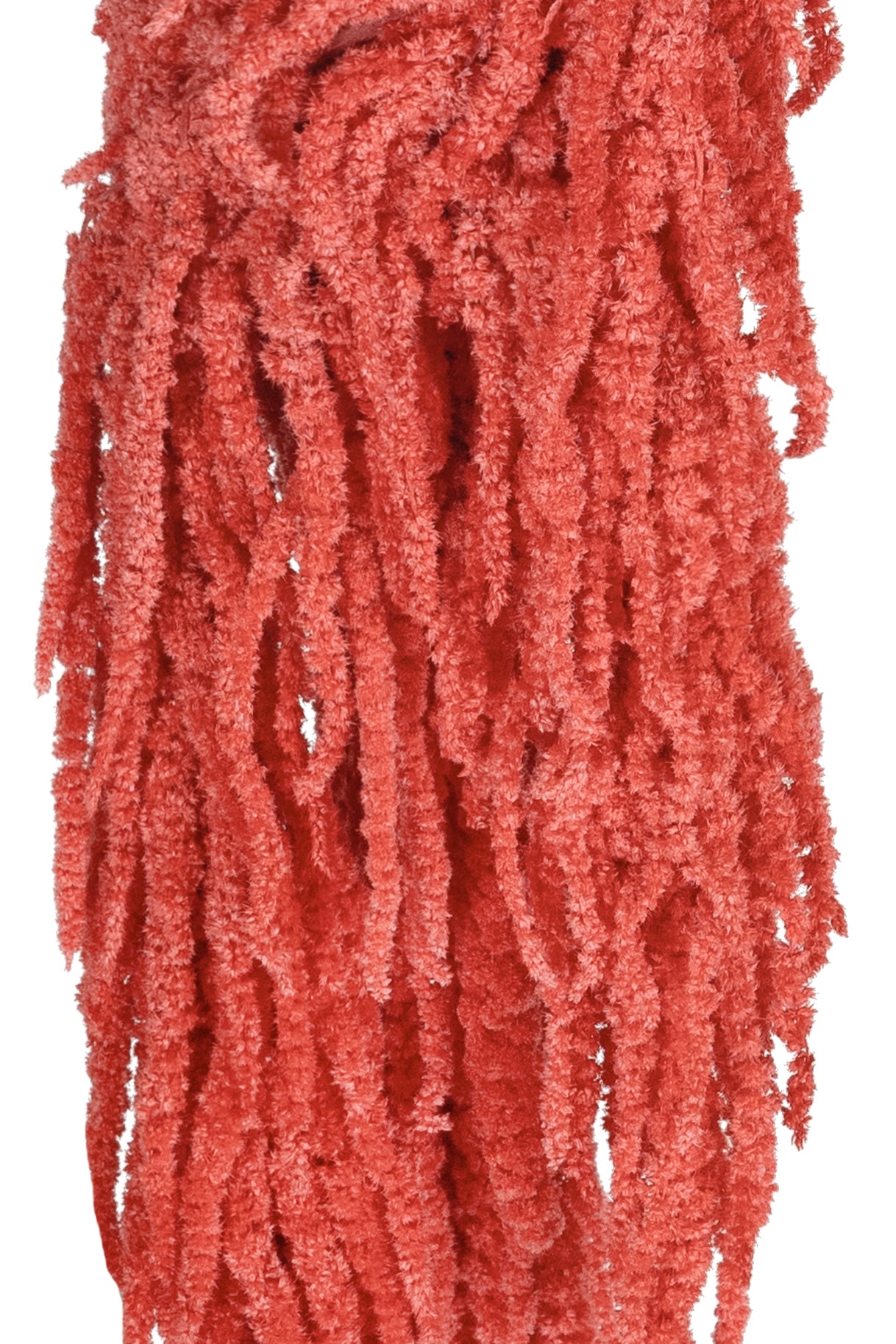 Crenguta conservata de Amaranthus H70-80 cm roz coral