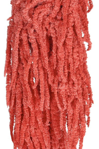 Crenguta conservata de Amaranthus H70-80 cm roz coral