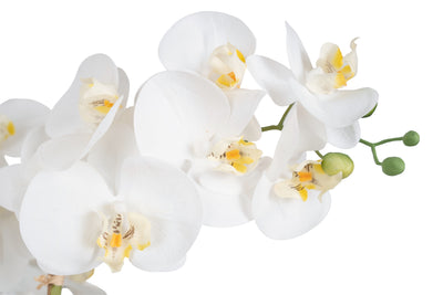 Orhidee artificiala alba cu aspect natural H66 cm cu 6 tulpini