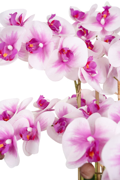 Orhidee artificiala alb cu roz cu aspect natural H66 cm cu 6 tulpini