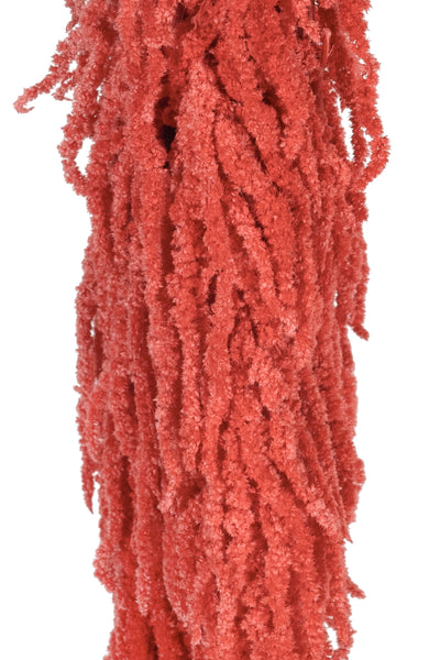 Crenguta conservata de Amaranthus H70-80 cm roz coral