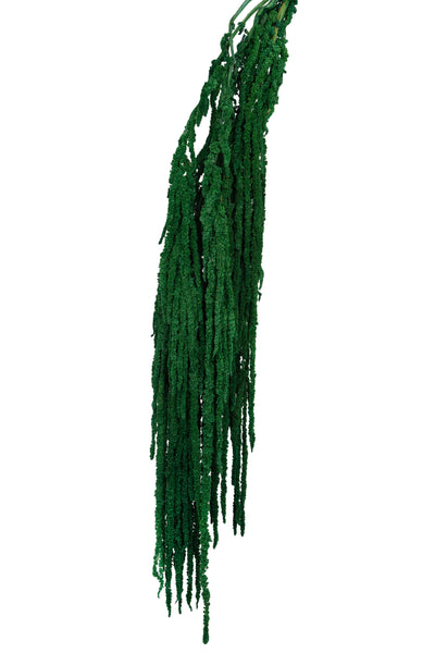 Crenguta conservata de Amaranthus H70-80 cm verde smarald deschis RR54