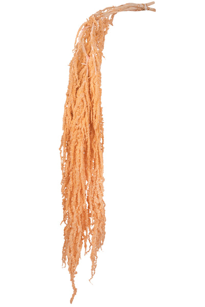 Crenguta conservata de Amaranthus H70-80 cm piersica