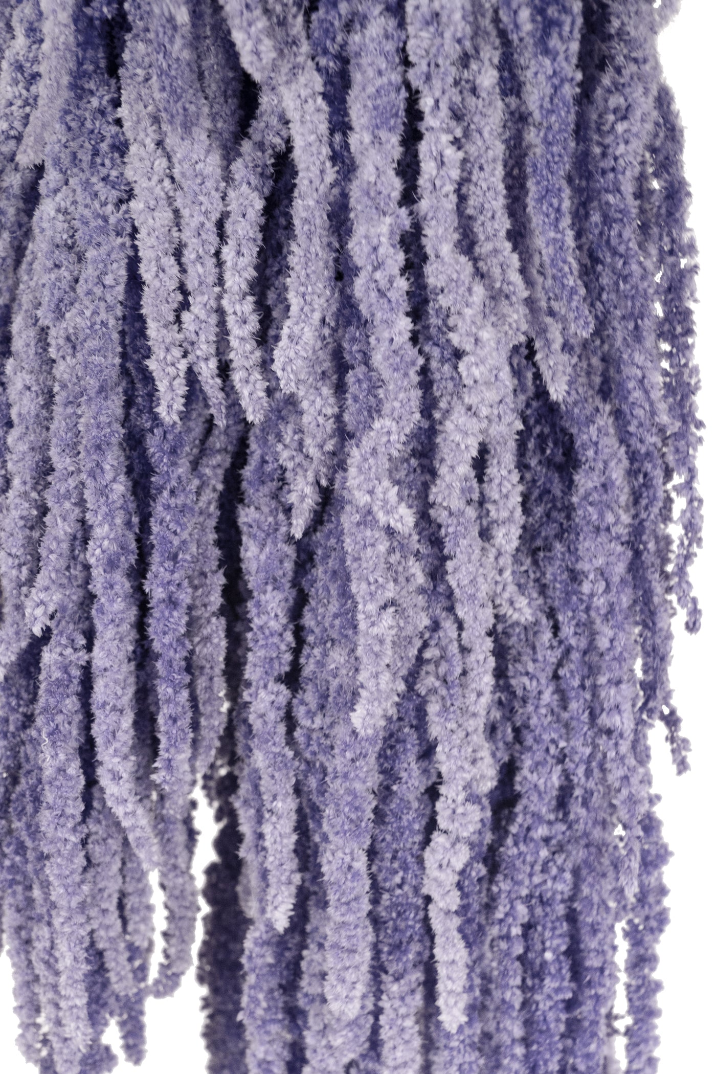 Crenguta conservata de Amaranthus H70-80 cm mov liliac