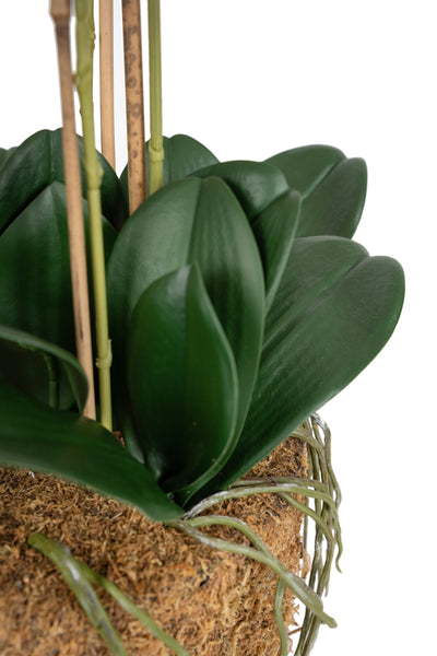 Orhidee artificiala alb cu roz cu aspect natural H66 cm cu 6 tulpini