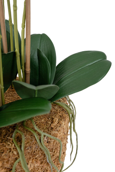 Orhidee artificiala alba cu aspect natural H66 cm cu 6 tulpini