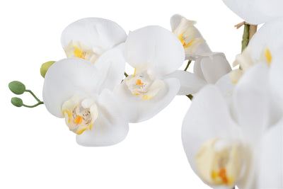 Orhidee artificiala alba cu aspect natural H66 cm cu 6 tulpini