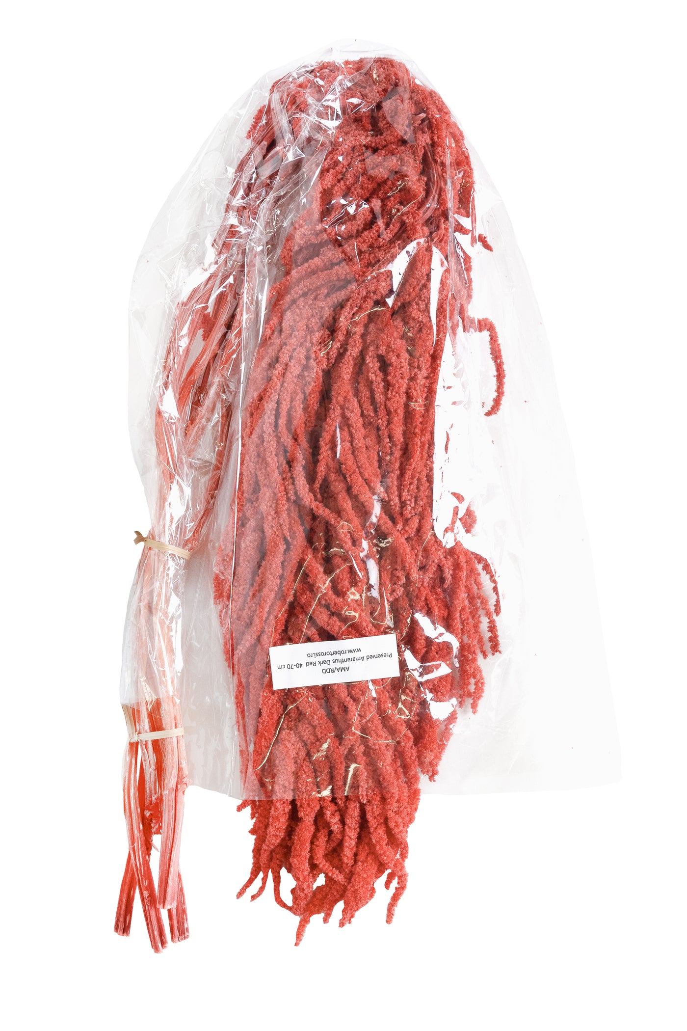 Crenguta conservata de Amaranthus H70-80 cm roz coral