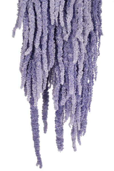 Crenguta conservata de Amaranthus H70-80 cm mov liliac