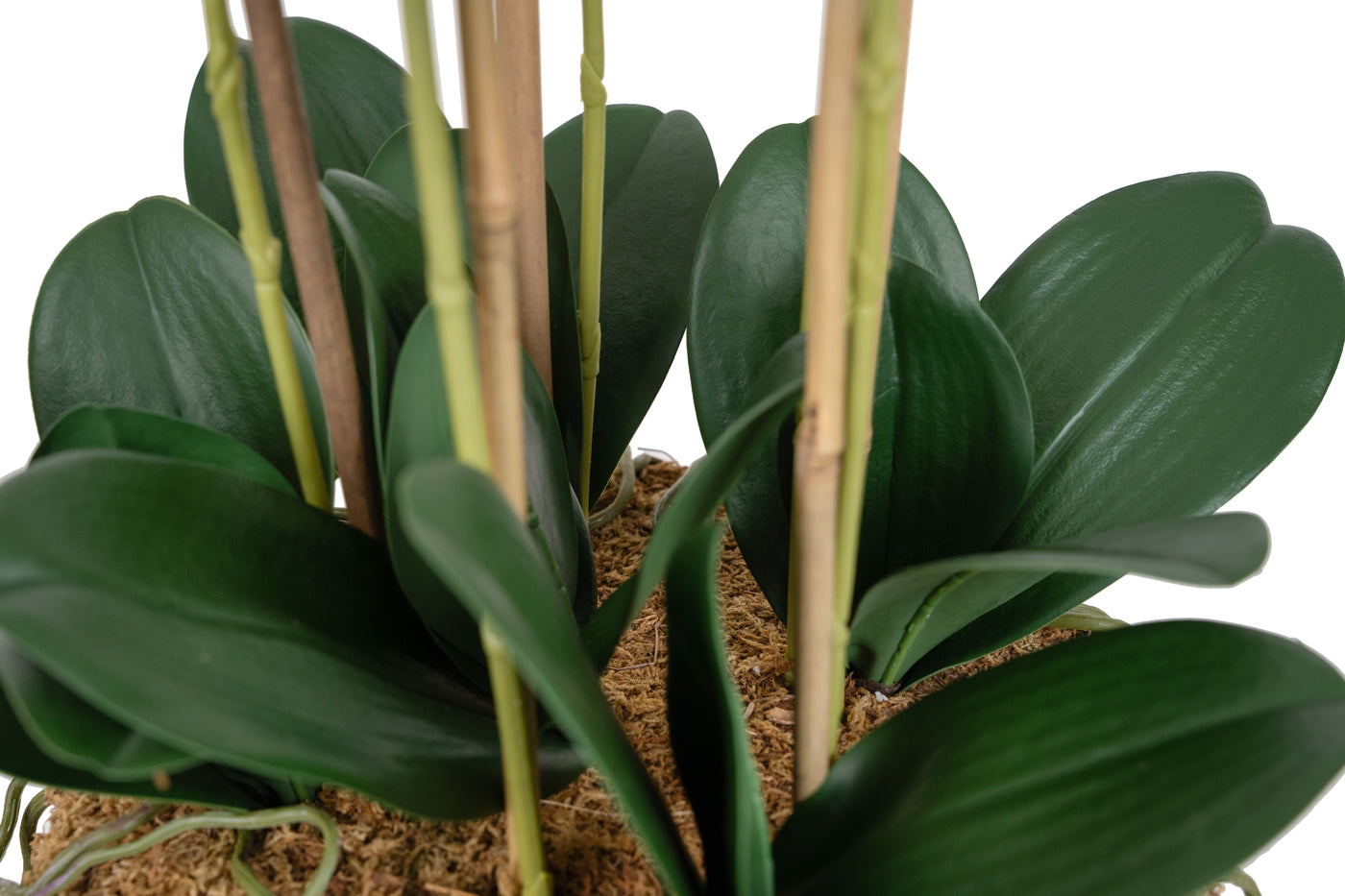 Orhidee artificiala alba cu aspect natural H66 cm cu 6 tulpini