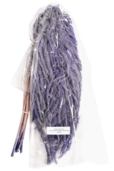 Crenguta conservata de Amaranthus H70-80 cm mov liliac