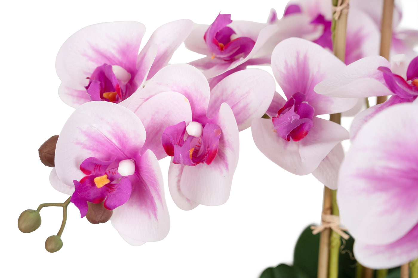 Orhidee artificiala alb cu roz cu aspect natural H66 cm cu 6 tulpini