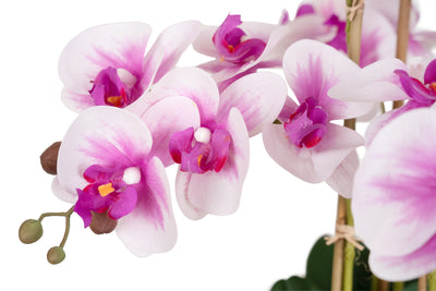 Orhidee artificiala alb cu roz cu aspect natural H66 cm cu 6 tulpini