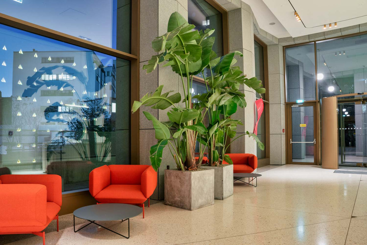 Millo Offices