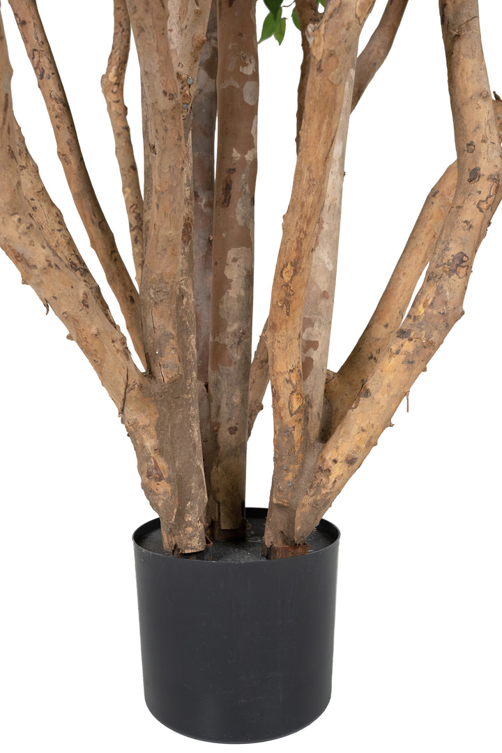 Copac artificial H280cm Ficus cu trunchiuri multiple. coroana D160cm