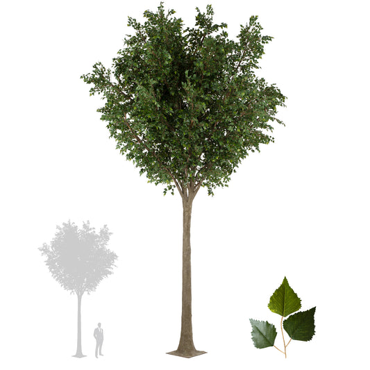 Copac artificial H700cm Mesteacan gigant. coroana D450cm