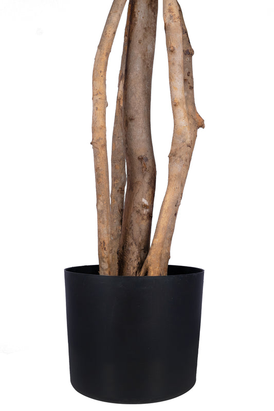 Copac artificial H150cm Bougainvilea cu flori albe