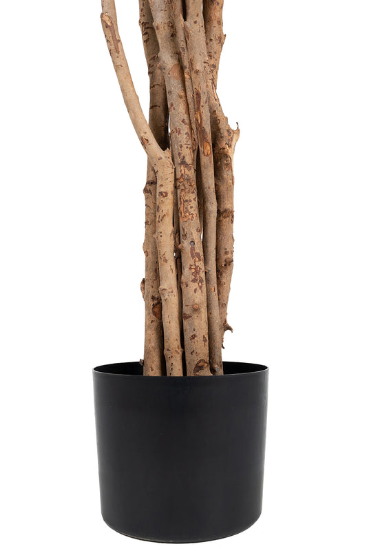 Copac artificial H210cm Croton petra cu 660 frunze