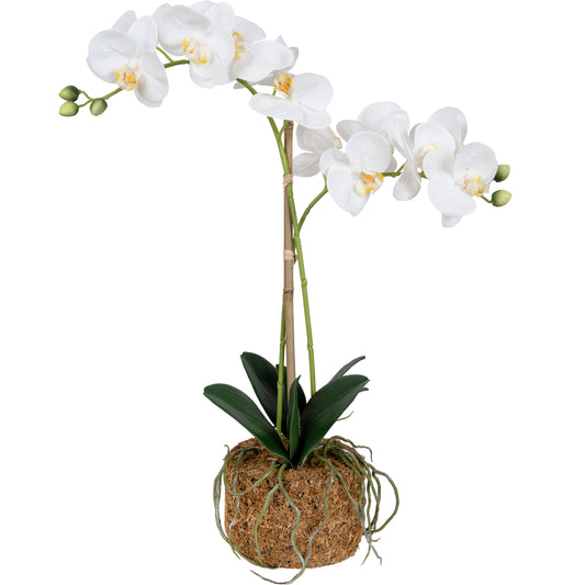 Orhidee artificiala alba cu aspect natural H56 cm cu 2 tulpini
