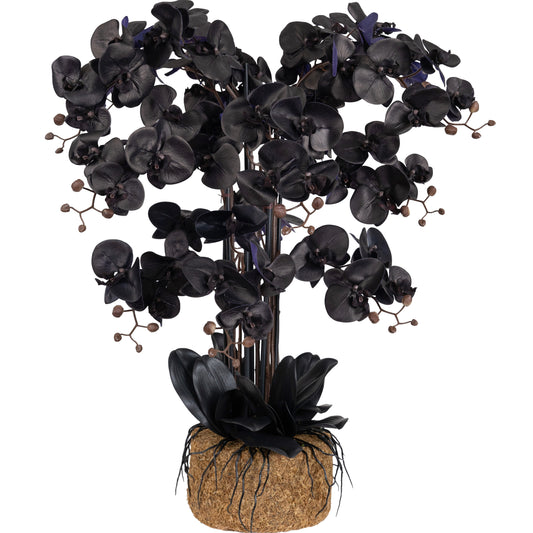 Orhidee artificiala neagra cu aspect natural H90 cm cu 12 tulpini