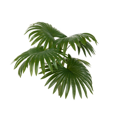 Palmier artificial Chamaerops humilis cu 7 frunze H50 cm