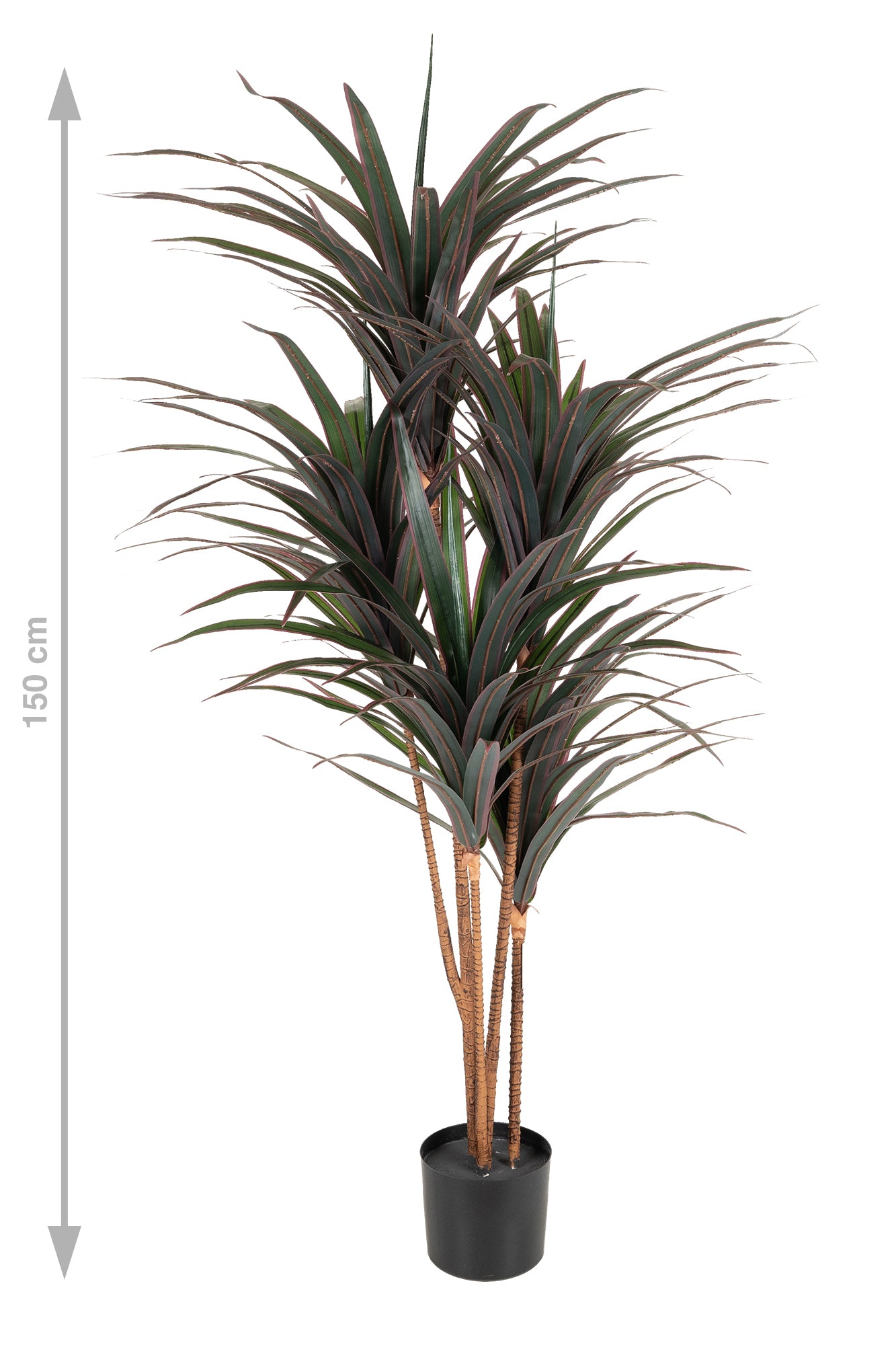 Dracaena artificiala marginata cu 180 frunze verzi cu rosu H150 cm