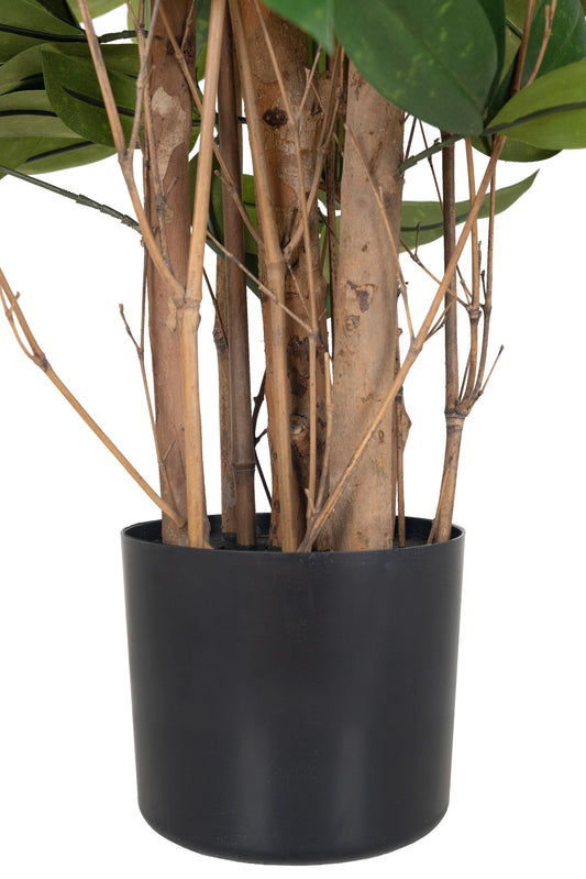 Dracaena artificiala surculosa H120 cm cu 472 frunze