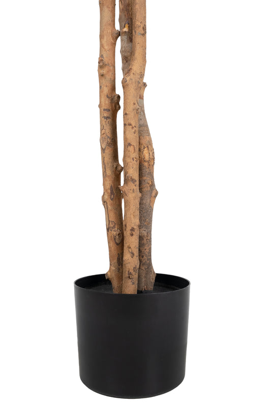 Copac artificial H210cm Ficus cu 2520 frunze. coroana D130cm