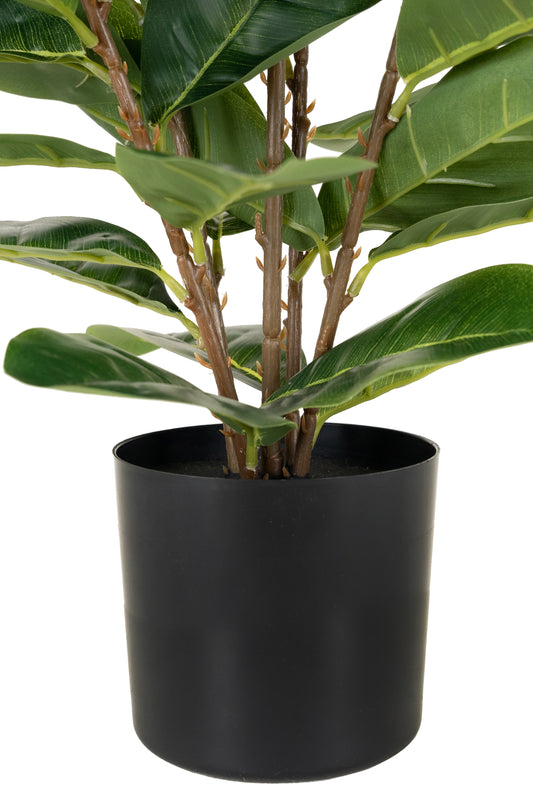 Copac artificial H65cm Ficus cyathistipula cu 63 frunze