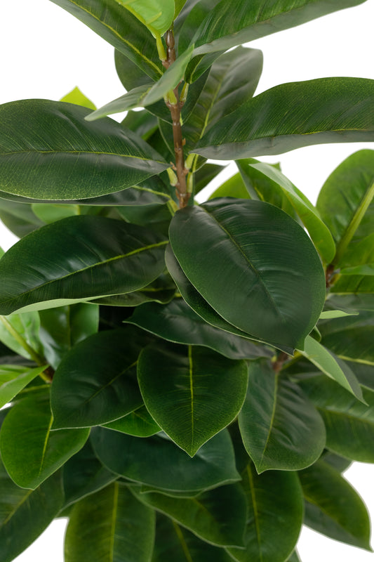 Copac artificial H65cm Ficus cyathistipula cu 63 frunze