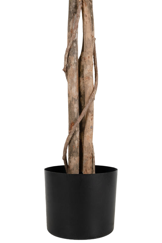 Copac artificial H180cm Ficus variegat cu 3 trunchiuri si 966 frunze verde cu alb