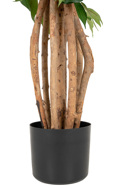 Copac artificial H120cm Ficus linea cu 1080 frunze