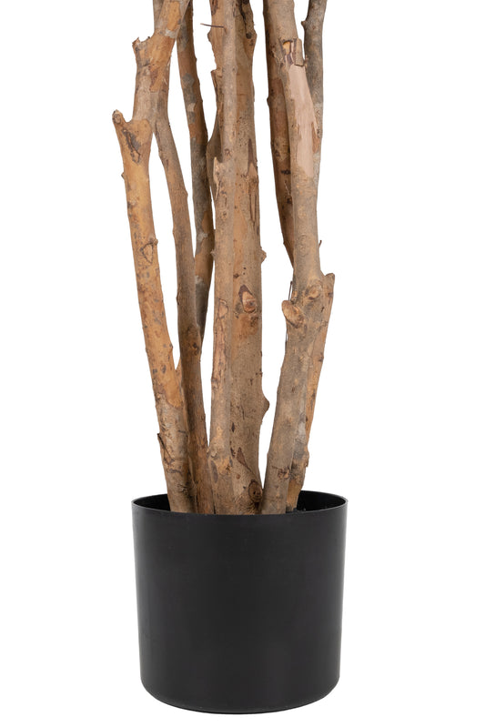 Copac artificial H210cm Ficus longifolia cu 1170 frunze