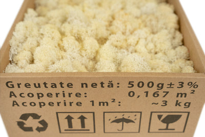 Licheni curatati si fara radacina conservati 500g NET. calitate ULTRA PREMIUM. alb crem RR28