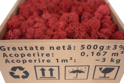 Licheni curatati si fara radacina conservati 500g NET, calitate ULTRA PREMIUM, rosu sienna RR48