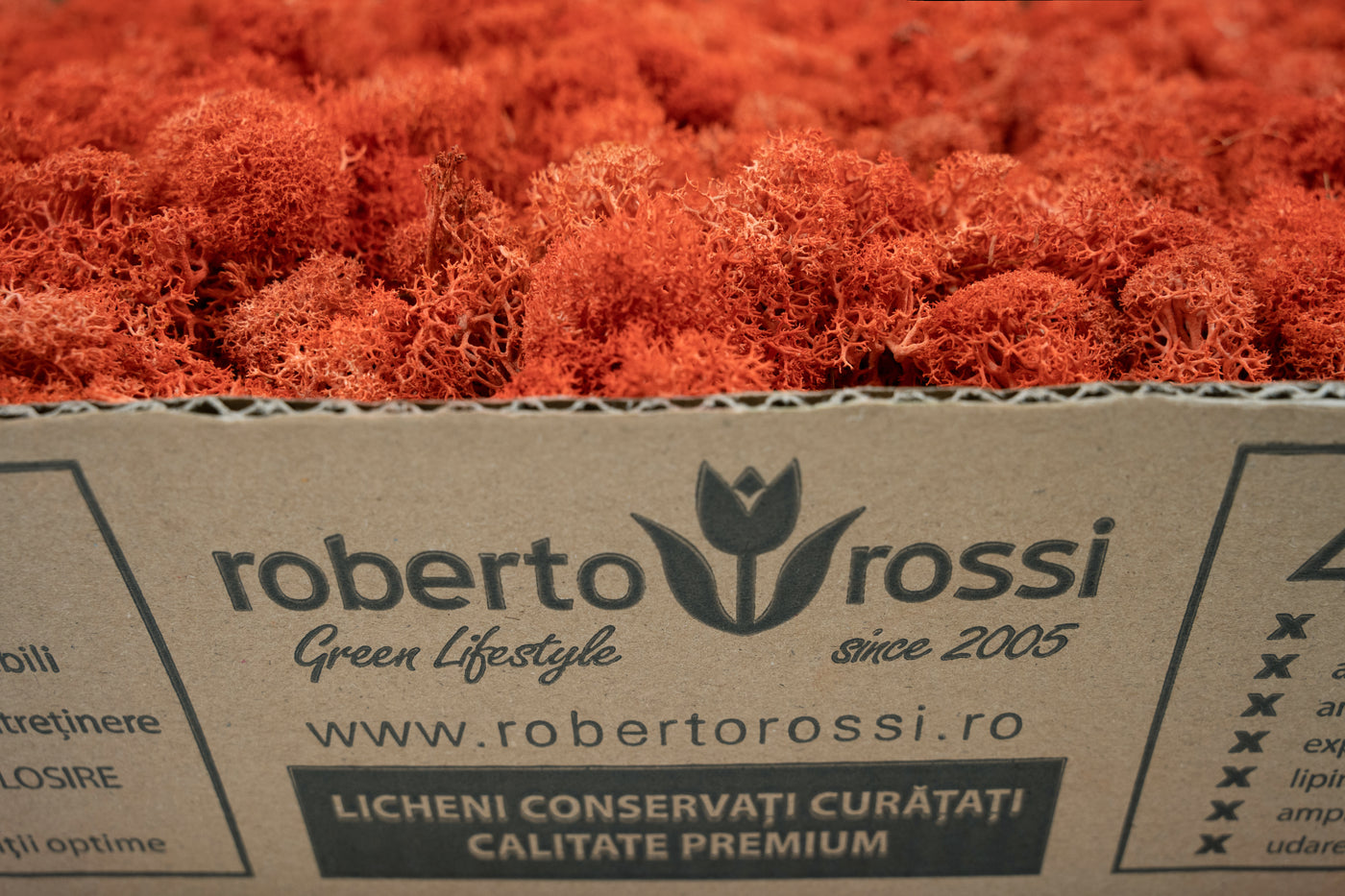 Licheni curatati si fara radacina conservati 500g NET. calitate PREMIUM. rosu corai RR13