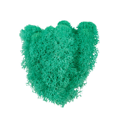 Licheni curatati si fara radacina conservati 500g NET, calitate ULTRA PREMIUM, verde pacific RR06