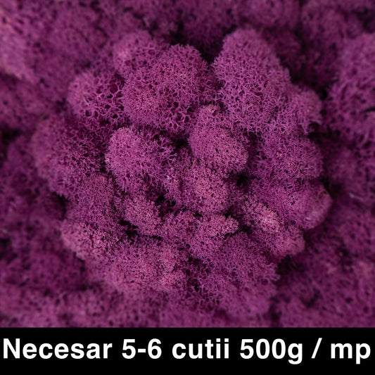 Licheni curatati si fara radacina conservati 500g NET. calitate ULTRA PREMIUM. mov magenta inchis RR64