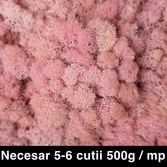 Licheni curatati si fara radacina conservati 500g NET. calitate ULTRA PREMIUM. roz deschis RR21